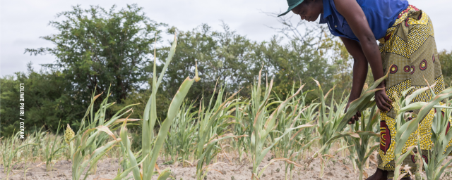 Women farmer in her field farming